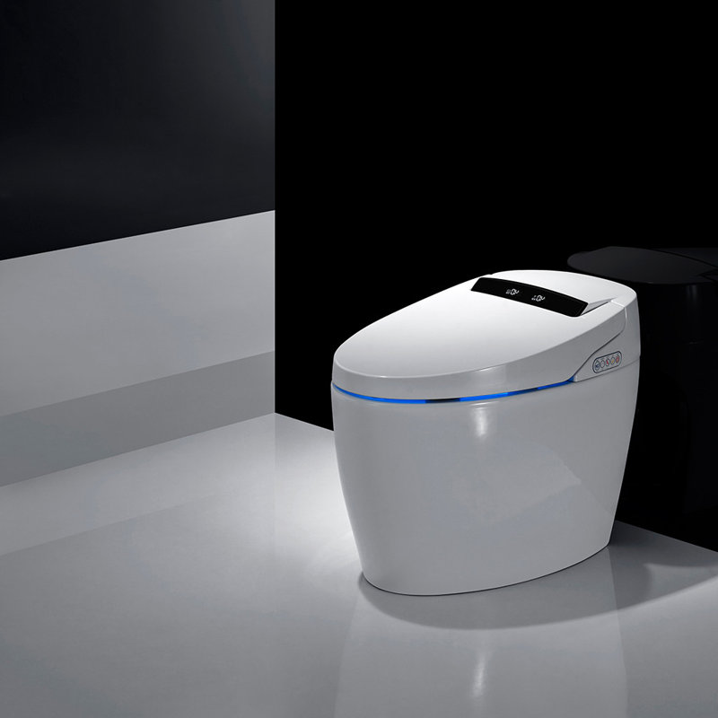 XSIX Smart Bidet Elongated Toilet Bidet, Warm Water Clear, Auto Flush